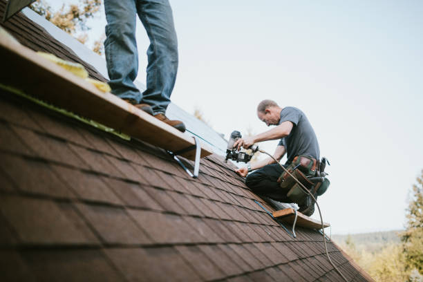 Best Metal Roofing Contractor  in Denver, CO